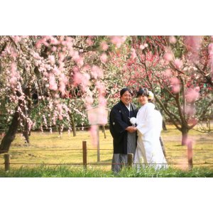 和装ロケーション